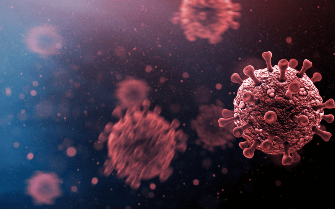 Small Business Crisis – 6 Options for Coping with COVID
