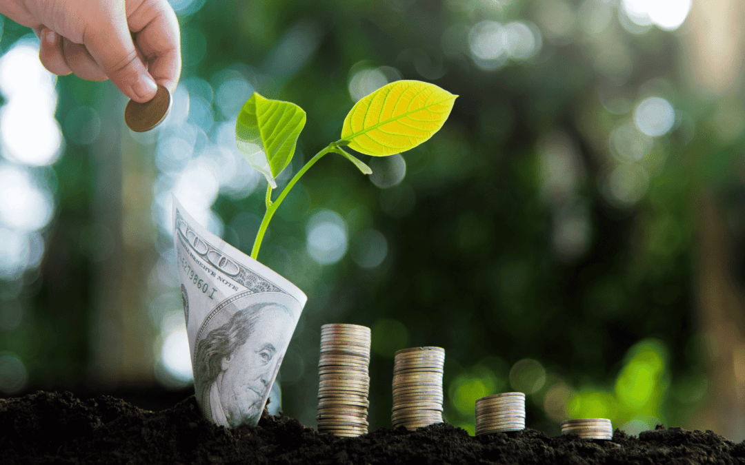How to grow a money tree