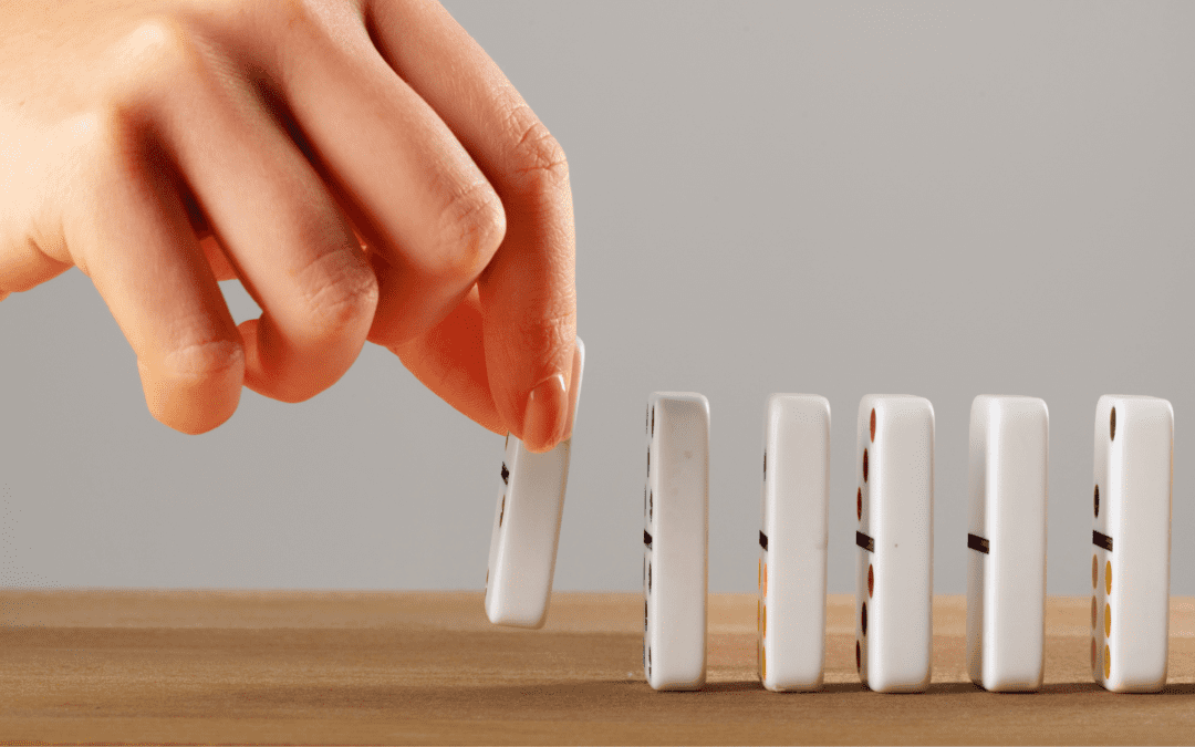 Technology & Automation: Maximizing Impact and Income